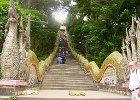 Thailand, Laos Aug02 001  Nagar trappen op Wat Prathat templet på toppen af Doi Suthep Chiang Mai Thailand